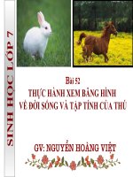 Bài 45 thực hành xem băng hình
