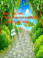 Bài 39: Thực hành: Tìm hiểu thành tựu chọn giống vật nuôi và cây trồng