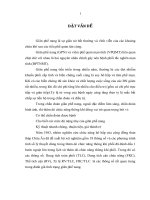 Nghiên cứu sự thay đổi các thông số của chức năng thông khí phổi trong bệnh nhân bệnh phổi tắc nghẽn mạn tính có giãn phế nang 