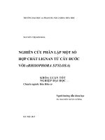 Khoá luận tốt nghiệp nghiên cứu phân lập một số hợp chất lignan từ cây đước vòi (rhizophora stylosa) 