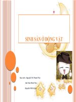 sinh sản ở động vật