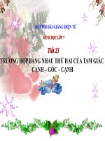 Tiết 25 TH bằng nhau thứ 2 của 2 tam giác