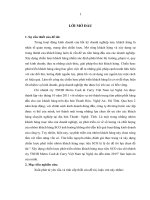 Xây dựng chiến lược phát triển nhóm khách hàng mục tiêu SCO của chi nhánhcty TNHH Metro Cash & Carry Việt Nam tại Nghệ An đến năm 2015