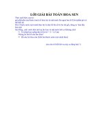 loi giai bai toan hoa sen