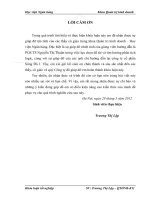 Giải pháp hoàn thiện công tác tạo động lực cho người lao động tại công ty cổ phần sông đà 1 