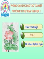 mi thuat bai 28 vẽ màu vào hình có sẵn