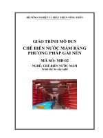 CHẾ BIẾN NƯỚC MẮM BẰNG PHƯƠNG PHÁP GÀI NÉN