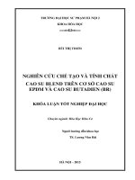 Nghiên cứu chế tạo và tính chất cao su blend trên cơ sở cao su epdm và cao su butadien (BR)