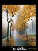 Tình Vào Thu ( Tặng Thầy Quang Loan )