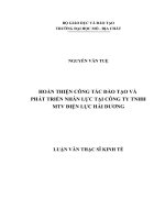 Hoàn thiện công tác đào tạo và phát triển nhân lực tại công ty TNHH MTV Điện lực Hải Dương