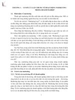 Hoàn thiện hoạt động marketing tại công ty cổ phần nước sạch vinaconex 