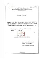 Nghiên cứu tình hình phát sinh phát triển và biện pháp phòng trừ một số bệnh nấm và bệnh xoăn lá hại cà chua vùng hà nội và phụ cận