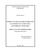 Nghiên cứu phân lập một số hợp chất flavonoit từ cây bần chua (sonnerratia caseolaris)