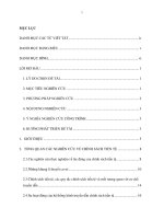 Xây dựng mô hình thực nghiệm cho khuôn khổ chính sách tiền tệ tại việt nam 