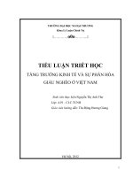 Tăng trưởng kinh tế và sự phân hóa giàu nghèo ở việt nam 