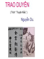 Đoạn trích trao duyên