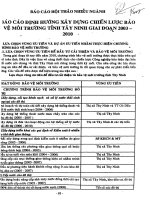 Báo cáo định hướng xây dựng chiến lược bảo vệ môi trường tỉnh tây ninh gia đoạn 2003 2010   tập 1