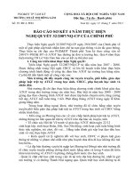 BÁO CÁO SƠ KẾT 4 NĂM THỰC HIỆN NĐ32/2007 CỦA CP