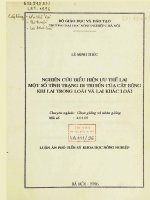 Nghiên cứu biểu hiện ưu thế lai một số tình trạng di truyền của cây bông khi lai trong loài và lai khác loài