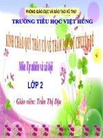 TNXH lớp 2 bài 11 GIA ĐÌNH  