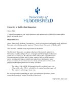 Cultural consequences – the lived experiences and support needs of british pakistanis with a family member in prison