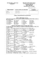 CHUYÊN ANH   LHP   NAM ĐINH