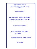 giải pháp phát triển nông nghiệp ở huyện việt yên, tỉnh bắc giang