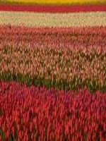 dia 7 moi truong nhiet doi gio mua