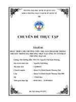 PHÁT TRIỂN THỊ TRƯỜNG TIÊU THỤ sản PHẨM hệ THỐNG TRUYỀN THÔNG đa PHƯƠNG TIỆN tại CÔNG TY cổ PHẦN THƯƠNG mại AIC 