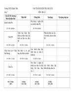 Ma tran đề KT Địa 1 HK 2 Tr