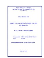 nghiên cứu quy trình công nghệ chế biến tối thiểu dứa