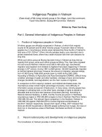 2007 6 11 Người DTTS bản địa ở Việt Namtrường hợp Mã Liềng (bản tiếng Anh) indigenous peoples in vietnam malieng case