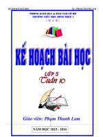 Giáo án tuần 10 VNEN