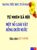 cac loai vat song duoi nuoc lop 4