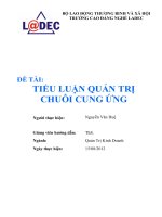 Tiểu luận chuỗi cung ứng công ty cổ phần vietmay depot 