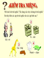 TIẾT 43 từ ĐỒNG âm 