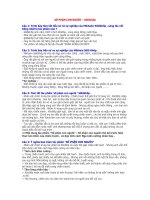 Số Phận Con Người (Văn học 12)