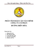 PHÂN TÍCH BÁO CÁO TÀI CHÍNH  CÔNG TY CỔ PHẦN ĐƯỜNG BIÊN HÒA