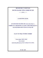 so sánh một số giống kê (setaria italica beauv.), nghiên cứu ảnh hưởng của liều lượng phân đạm và mật độ trồng đến năng suất hạt kê