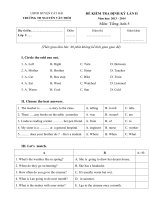 Đề kiểm tra định kỳ môn Tiếng Anh lớp 5 trường tiểu học Nguyễn Văn Trỗi (lần 2)