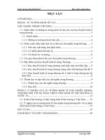 ý nghĩa của tư tưởng kinh tế chủ nghĩa trọng thương đối với sự phát triển nền kinh tế thị trường ở nước ta 