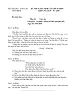 ĐỀ VĂN VÀO 10 BÌNH ĐỊNH 2010 2011