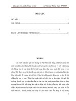 Thâm hụt ngân sách và thực trạng nợ công ở một số quốc gia trên thế giới (9 điểm) 