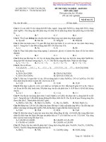 đề thi thử Hóa lần 2 năm 2011 trường THPT Mỹ Đức A