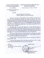 HD báo cáo và tóm tắt thành tích