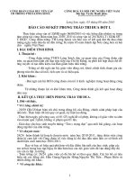 bao cao so ket cac dot thi dua 2010 2011