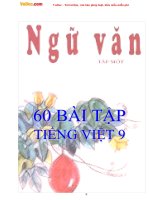 Lời giải 60 bài tập Tiếng Việt lớp 9