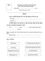 Đề thi & đáp án HSG môn TV 1