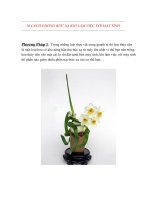 10 CÁCH CHỐNG bức xạ KHI làm VIỆC với máy TÍNH