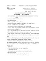 mau ban thanh tich ca  nhan